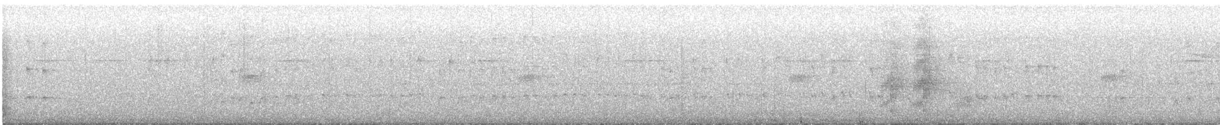 Microtyran oreillard - ML613944934