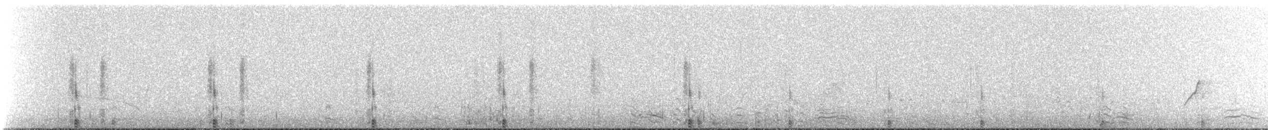 Löffelente - ML613947010