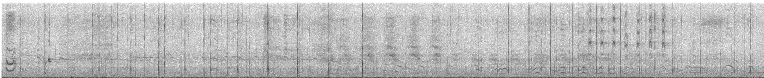 褐翅叉尾海燕 - ML613947924
