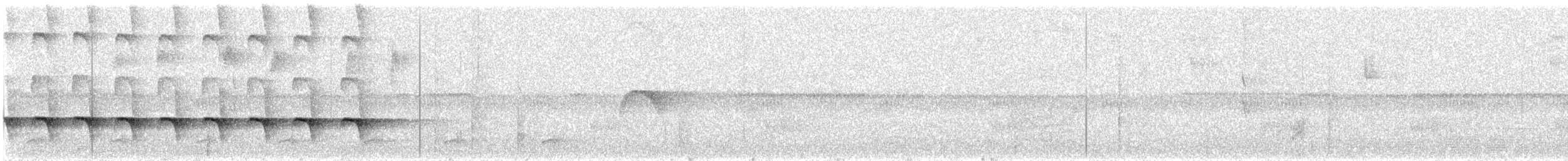Zeledon Karıncakuşu - ML613950283