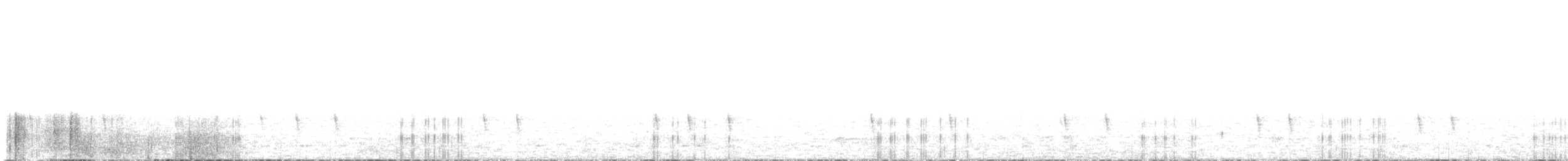 Troglodyte de Baird - ML613951262