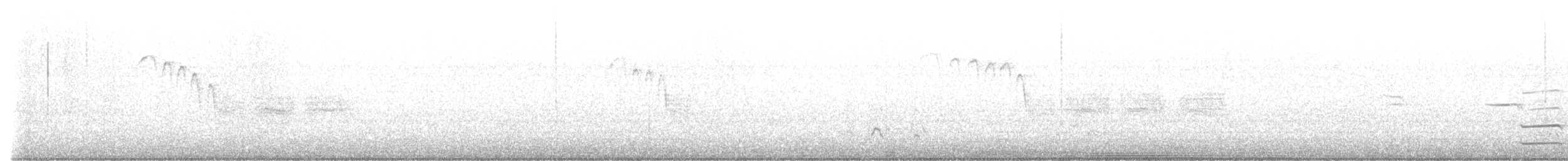 Белоголовый орлан - ML613954196