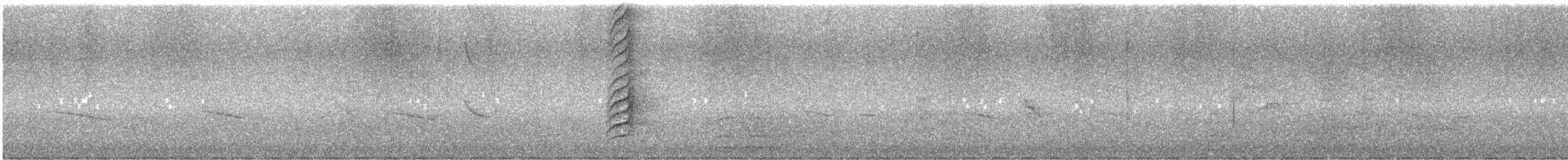白胸燕鵙 - ML613954520