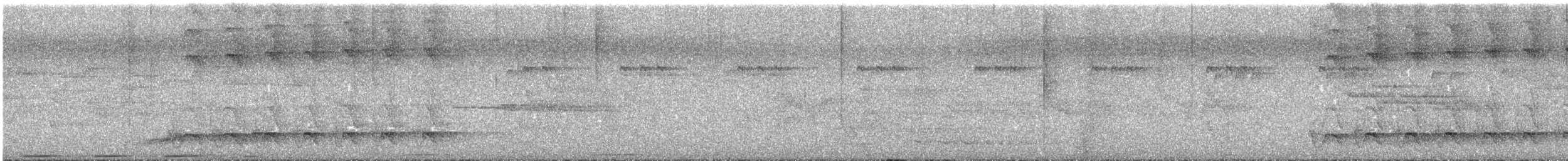 シラオラケットカワセミ - ML613956211
