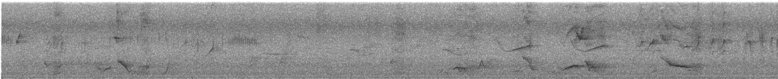 Атласный шалашник - ML613958383