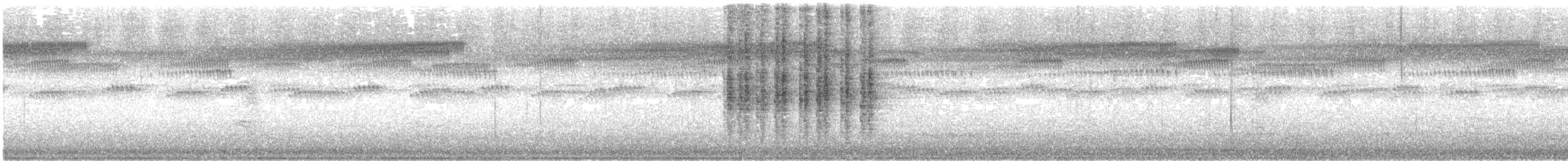 Rhipidure hochequeue - ML613959157