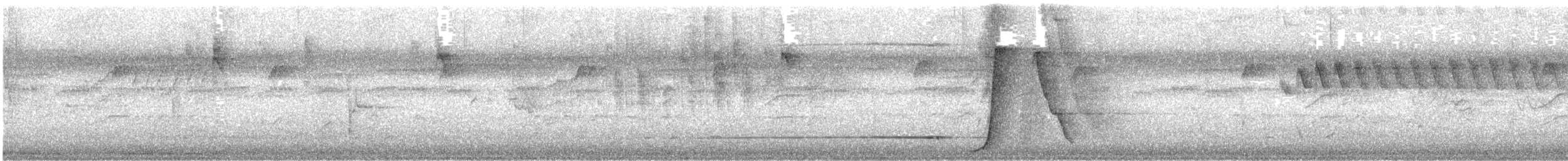 Psophode à tête noire - ML613959192