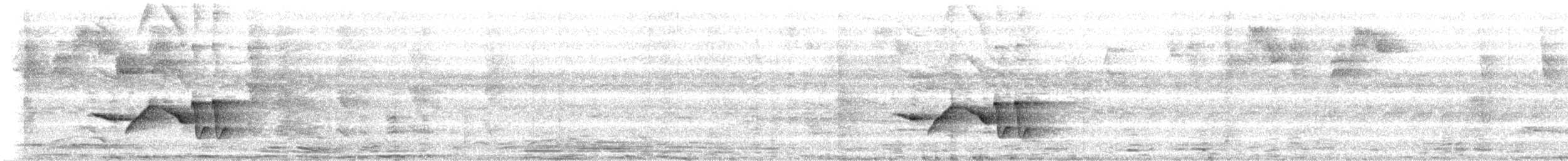 Поплітник плямистоволий - ML613960718