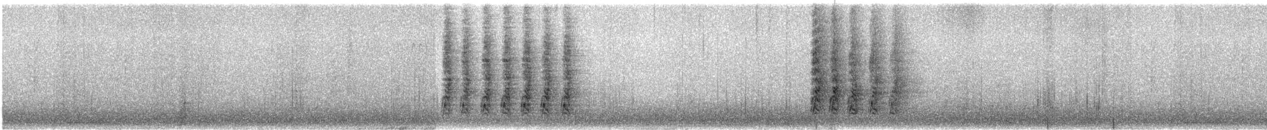 Steller's Jay - ML613961867