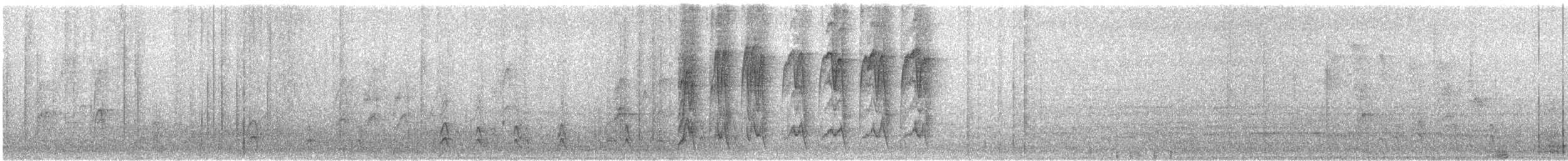 קיכלי נודד - ML613961904