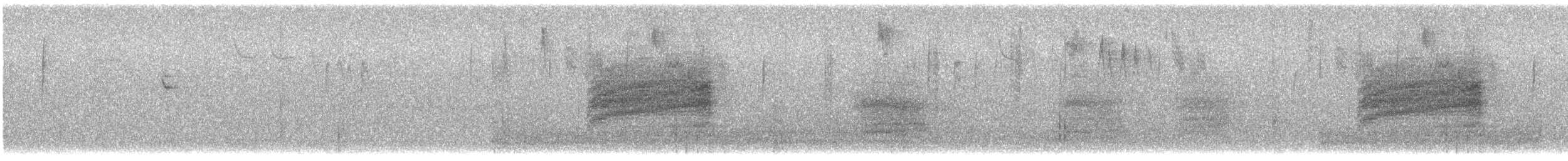 Bewick Çıtkuşu - ML613961949