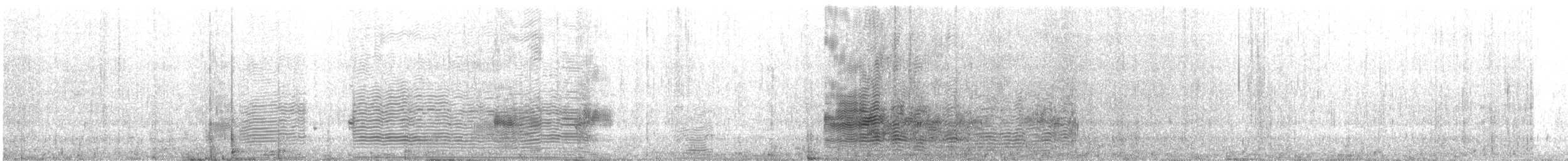 אלבטרוס לבן-כיפה - ML613964409