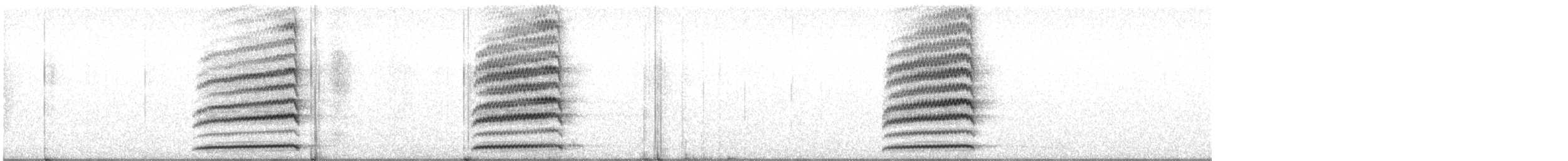 Nínox Maorí - ML613969540