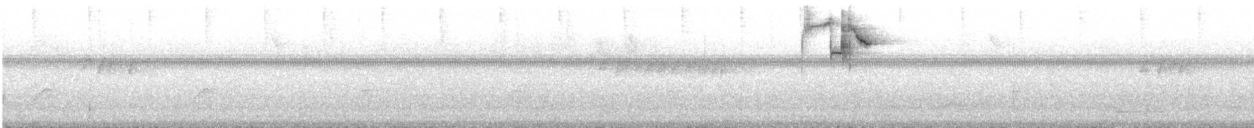 Haplospize unicolore - ML613972130