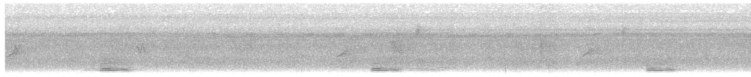 Koca Başlı Motmot - ML613972196