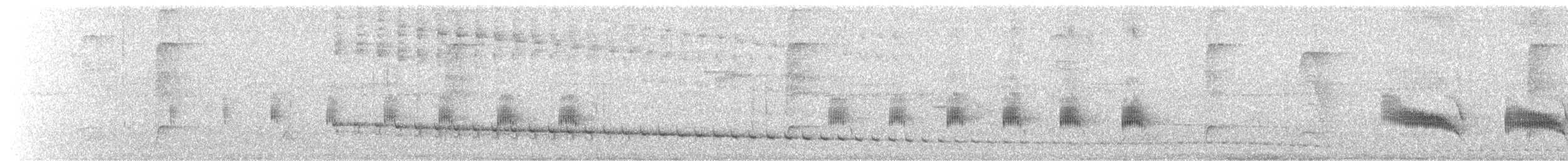 Black-billed Scythebill - ML613974230