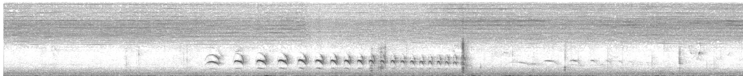 Rostflügel-Ameisenwürger - ML613974940