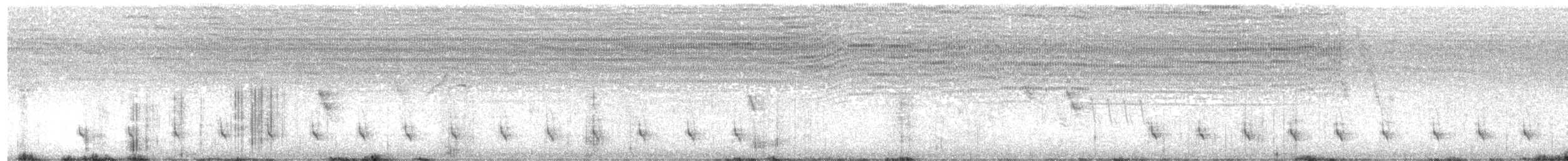 Güneyli Ak Şeritli Karıncakuşu - ML613975091