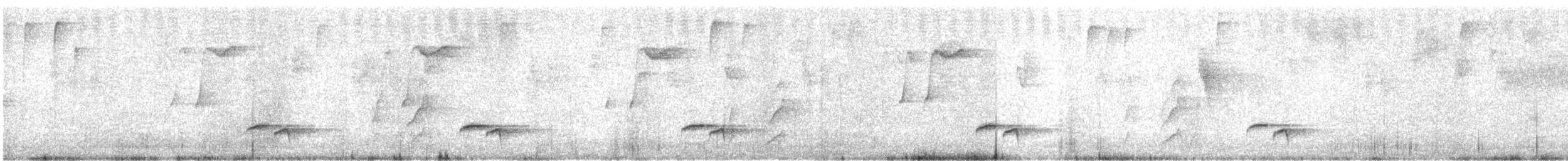 Troglodyte à poitrine grise - ML613975816
