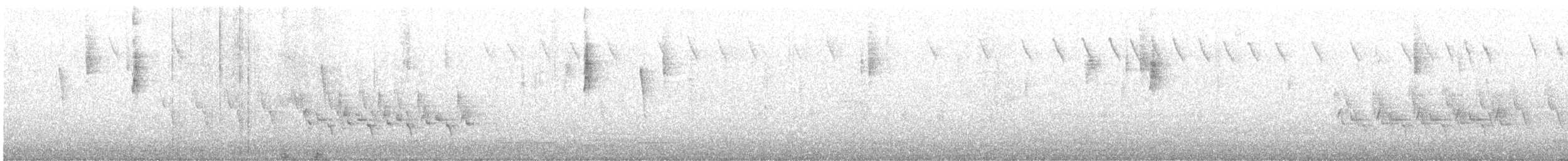 Каролинский крапивник [группа berlandieri] - ML613975900