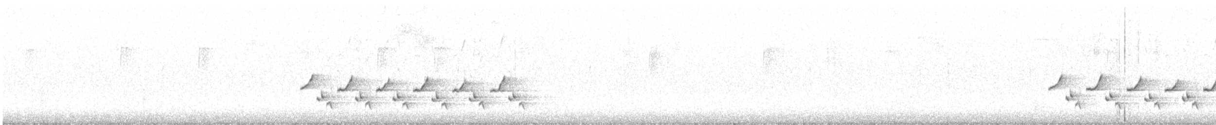 Каролинский крапивник [группа berlandieri] - ML613976336