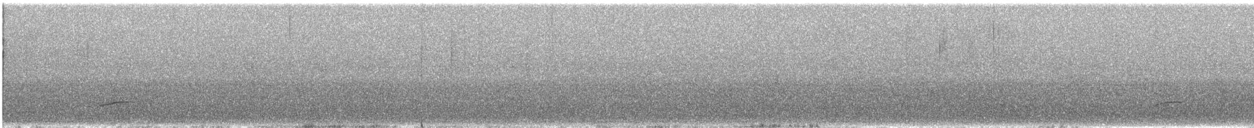 Fringillidae sp. - ML613977030