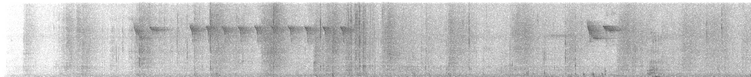 kolibřík bělobradý - ML613978507
