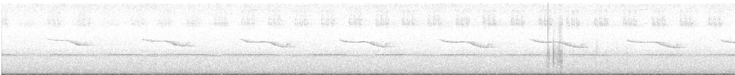 Breitspiegel-Nachtschwalbe - ML613979103