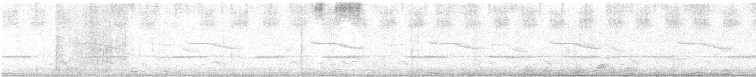 Breitspiegel-Nachtschwalbe - ML613979105