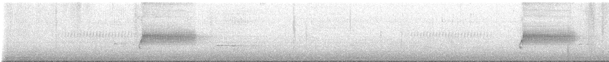 Spotted Towhee (oregonus Group) - ML613980196