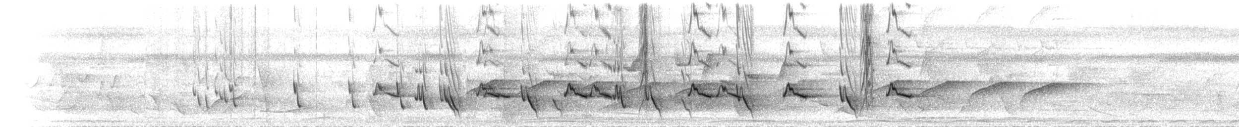 Rhipidure brun-roux - ML613983293