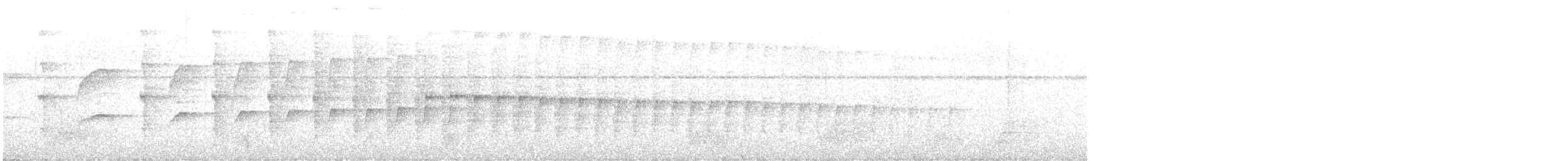 Buco Rayado (striata) - ML613983532