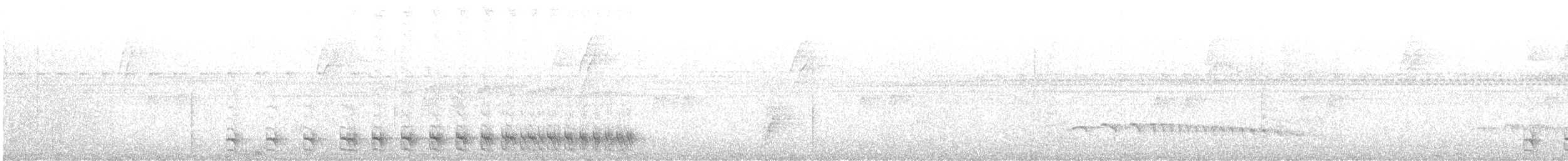 Myrmidon à flancs blancs (luctuosa) - ML613983560