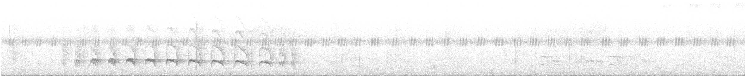 Weißflanken-Ameisenschlüpfer (luctuosa) - ML613983561