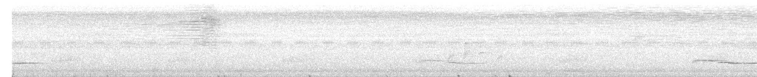 White-breasted Wood-Wren - ML613985389