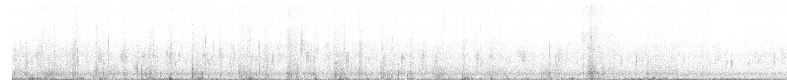 Troglodyte à poitrine blanche - ML613986564