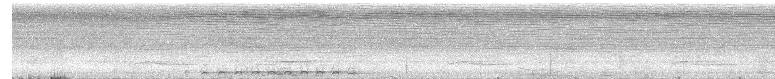 Trogon échelette - ML613987693