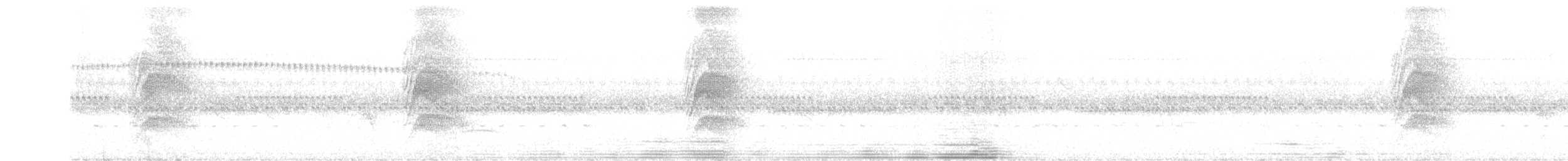 Large-tailed Antshrike - ML613988270