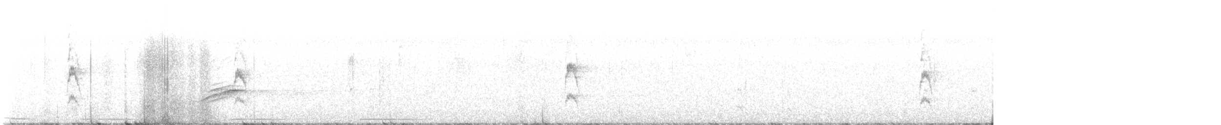 strakapoud kokardový - ML613988608