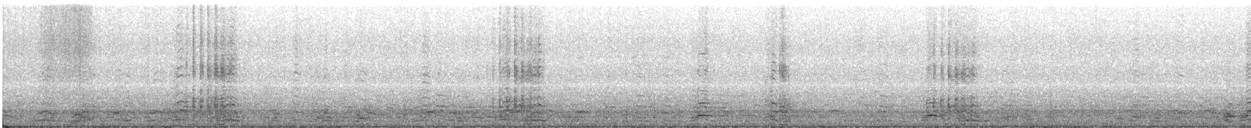 黑雁(nigricans) - ML613990366
