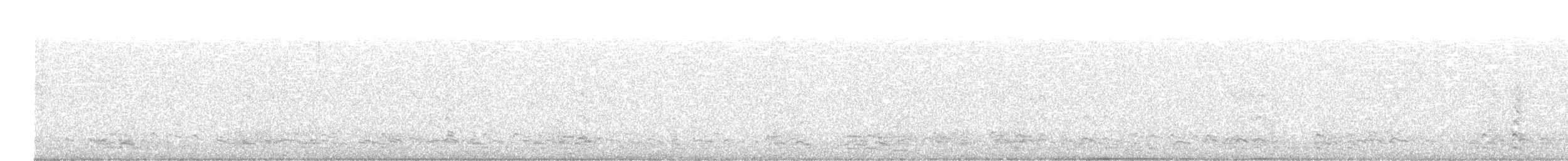 אווז לבן-מצח - ML613990699