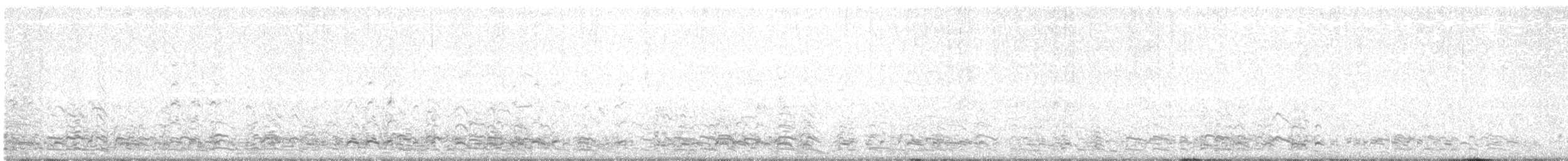 אווז לבן-מצח - ML613990730