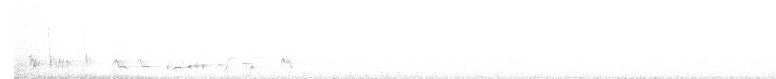 Kıvrık Gagalı Çöpçü [palmeri grubu] - ML613993855