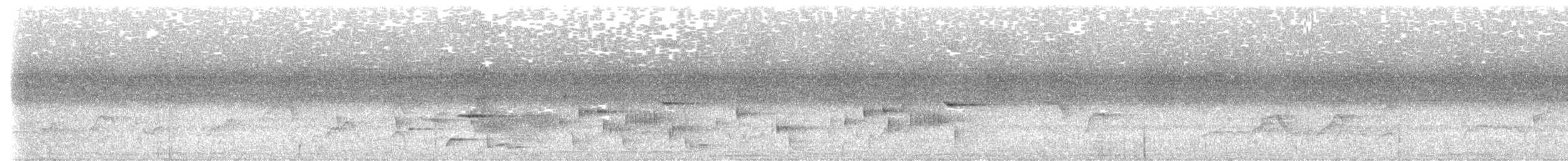 Зондский дронго (vicinus) - ML613994676