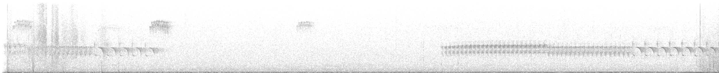 křivka bělokřídlá - ML613994749