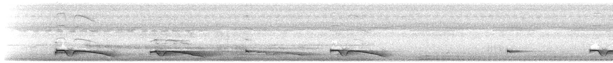 Riesennachtschwalbe - ML613999714