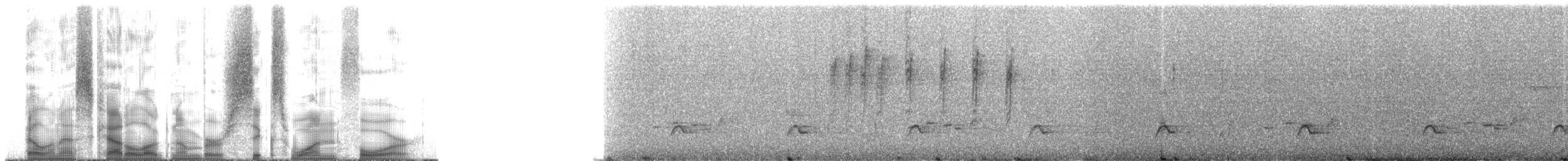 Psilopogon sp. - ML614