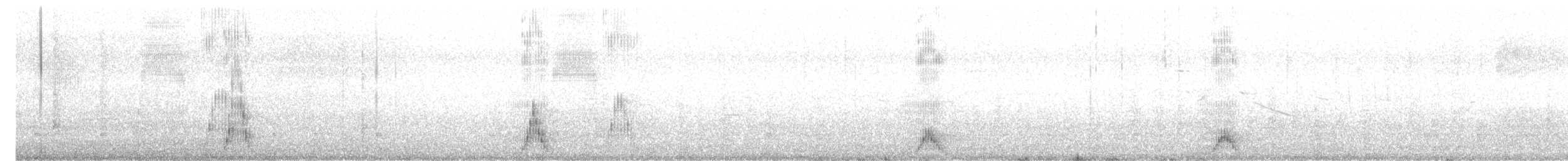 holoubek skřehotavý - ML614001079