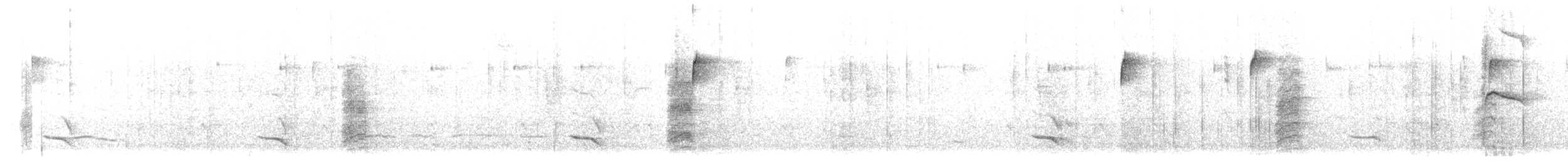 Schwarzkopftrupial (graduacauda/audubonii) - ML614001586