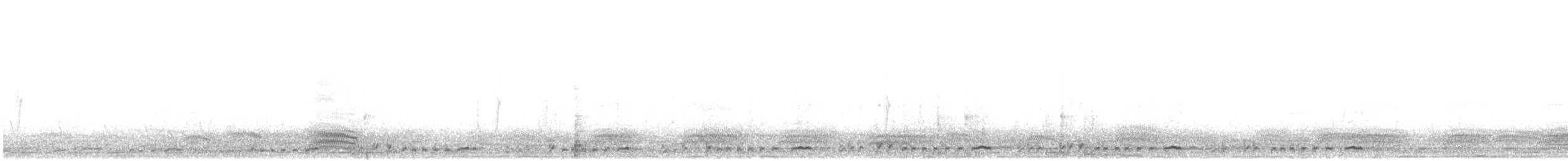 White-breasted Waterhen - ML614008724